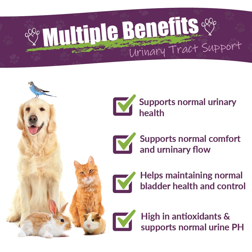 AMBER NATURALZ UTR Urinary Tract Herbal Supplement for Dogs, Cats, Birds, Guinea Pigs, and Rabbits | Pet Herbal Supplement for B